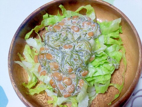 めかぶ納豆サラダ＋＋